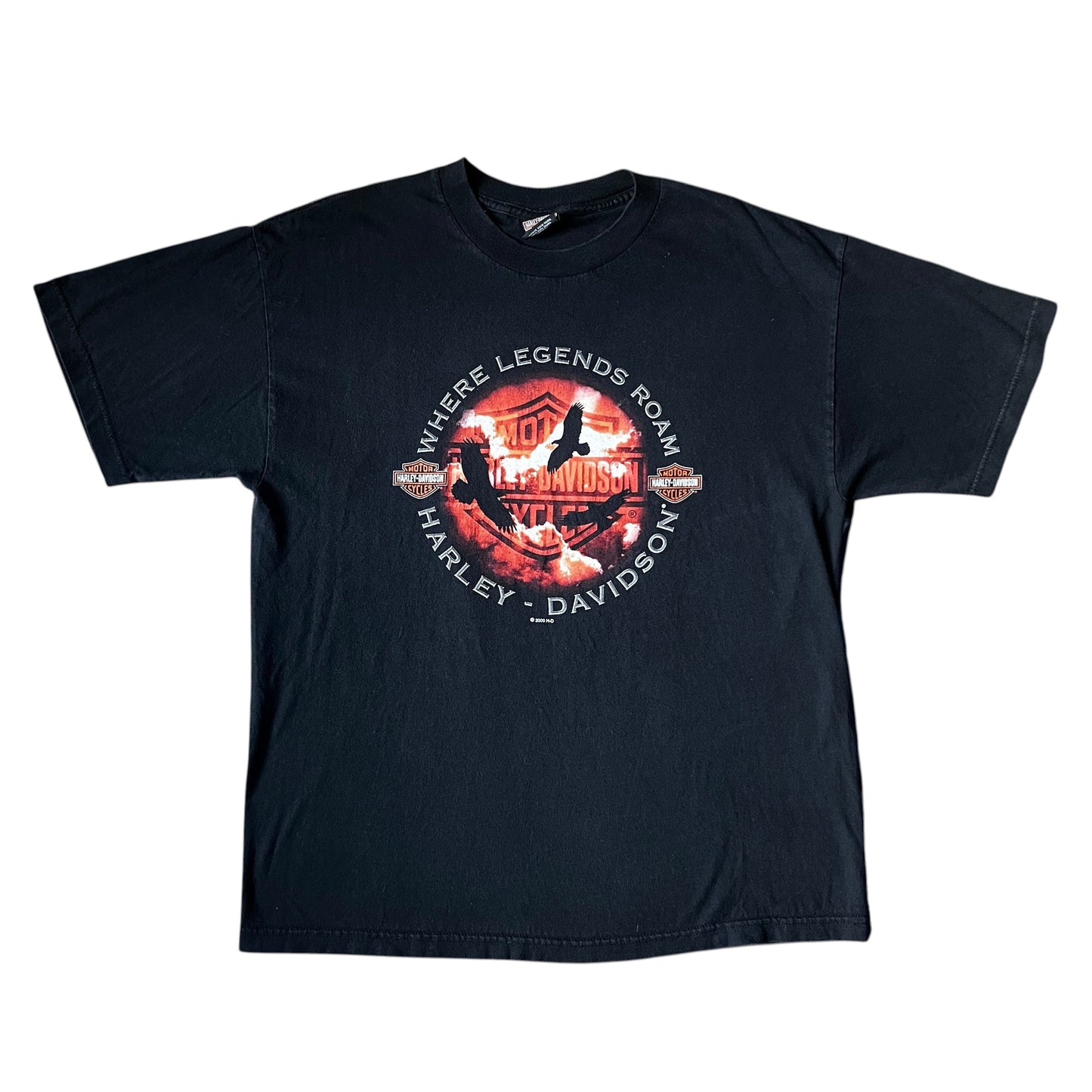 Vintage 2000 Harley Davidson "Where Legends Roam" Tee (XL)