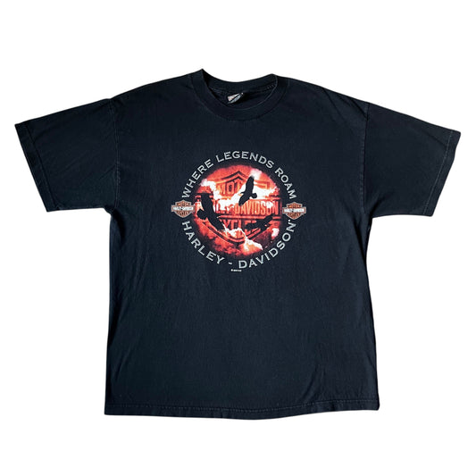 Vintage 2000 Harley Davidson "Where Legends Roam" Tee (XL)